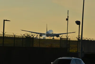 DSC_5711 (Large).JPG